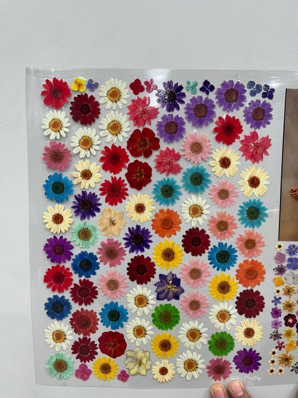 Flower sheet (pill of sticker)a4 size