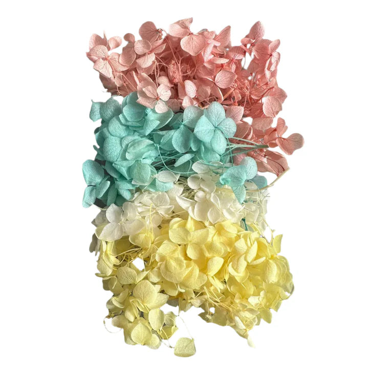 Pestal Magenta Hydrangea flower box