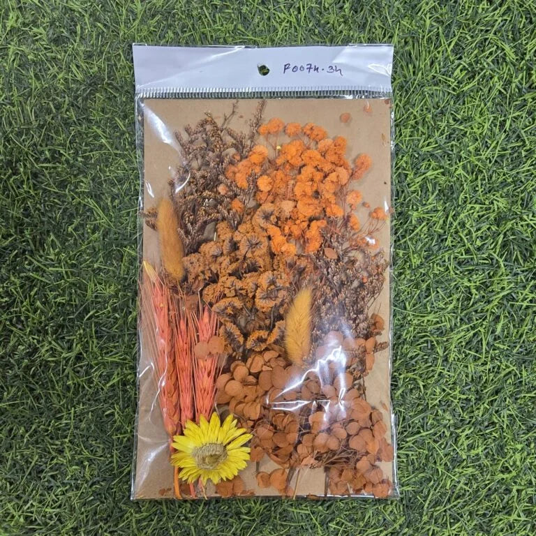 Mix Dry Flower Card Paking