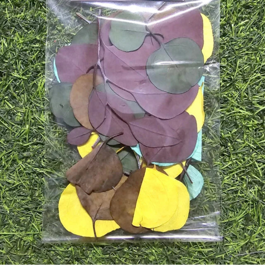 Multicolor Dried Flowers Leaf