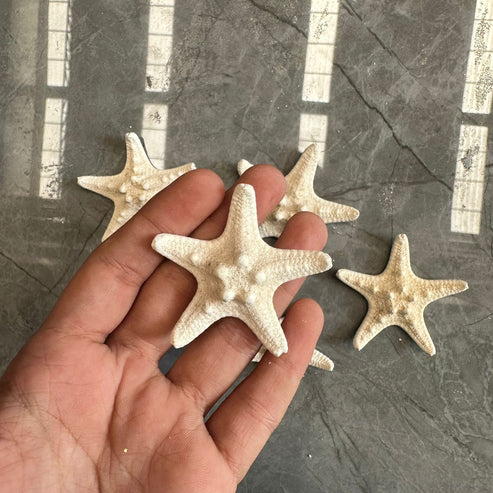 Star fish