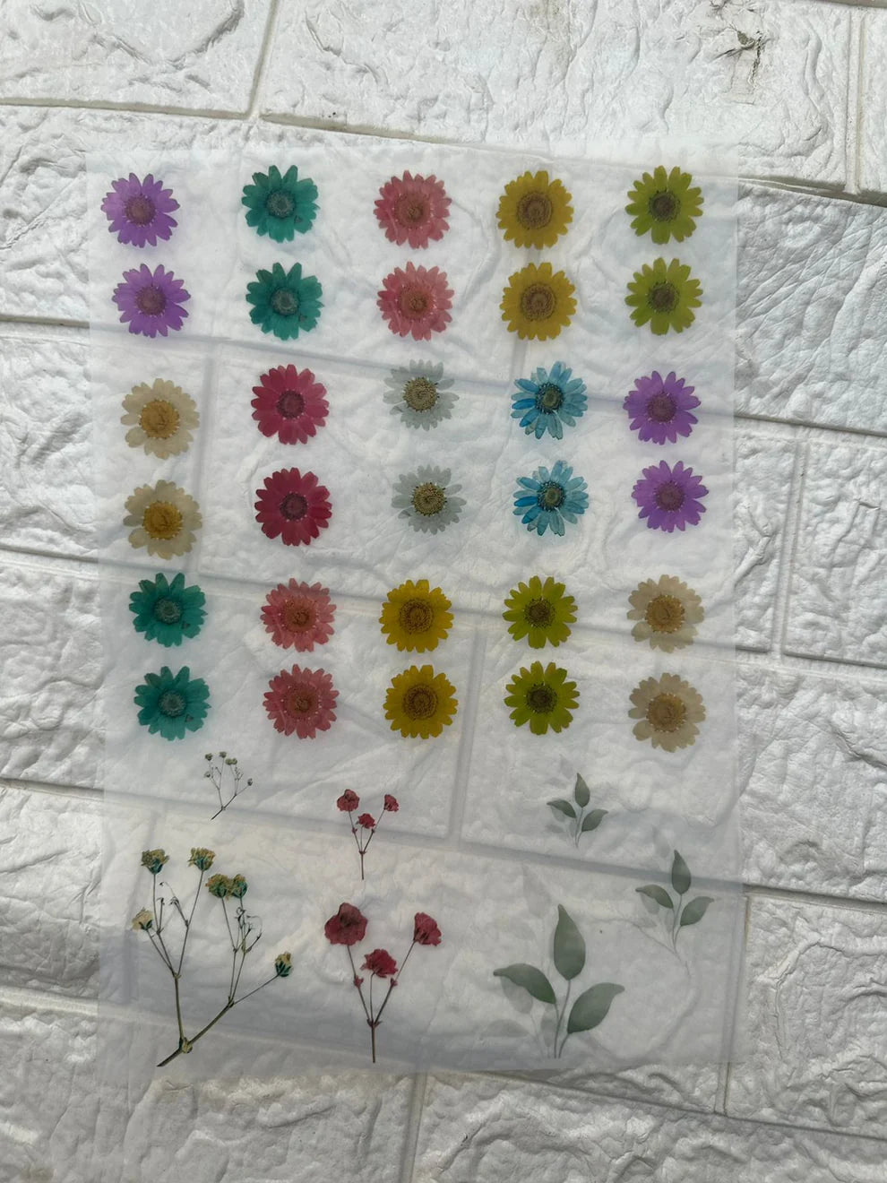 Mix daisy flower insert sheet