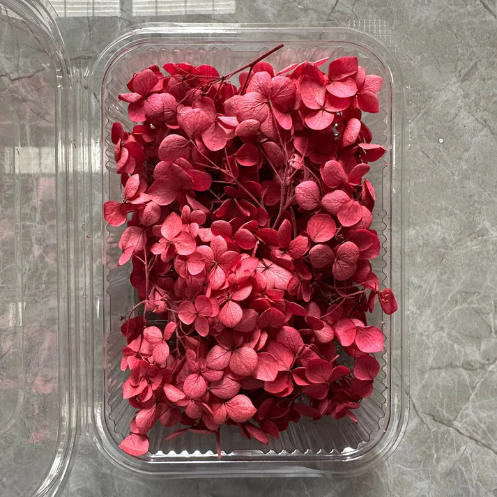 Pink Magenta Hydrangea flower box