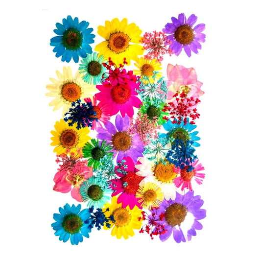 Pressed Dry Flowers 35 in 1