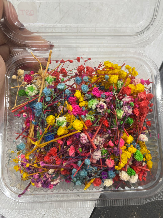 Mix jipsy flower box