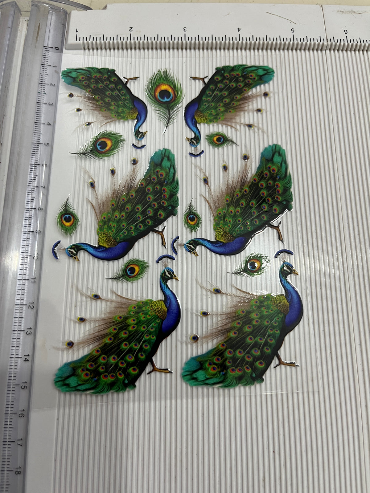 Uv dtf Sticker (mor pish )A6