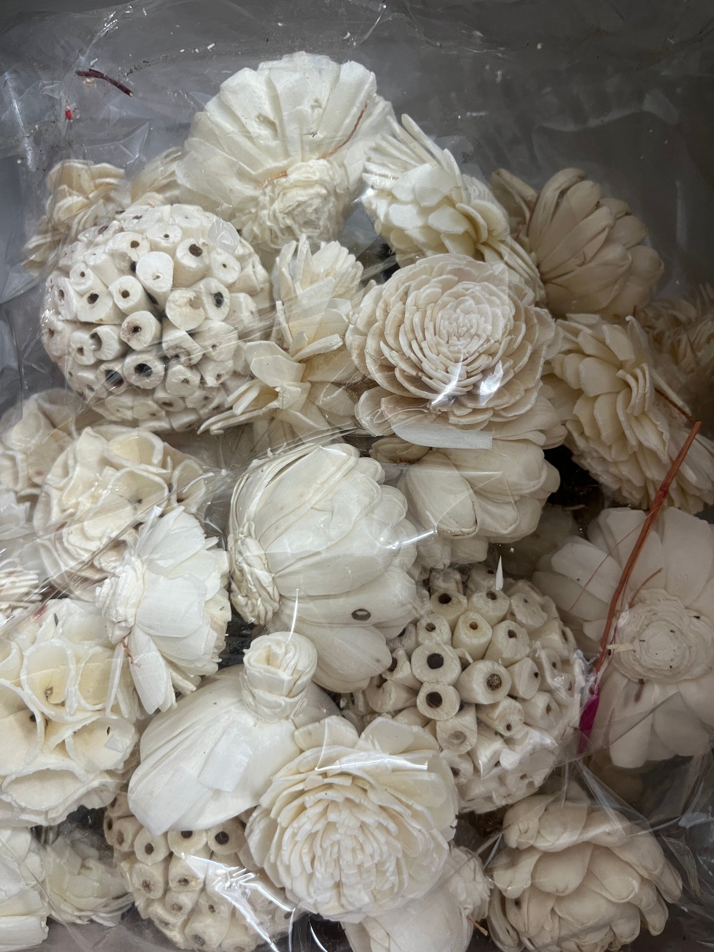 Sola wood random white flower