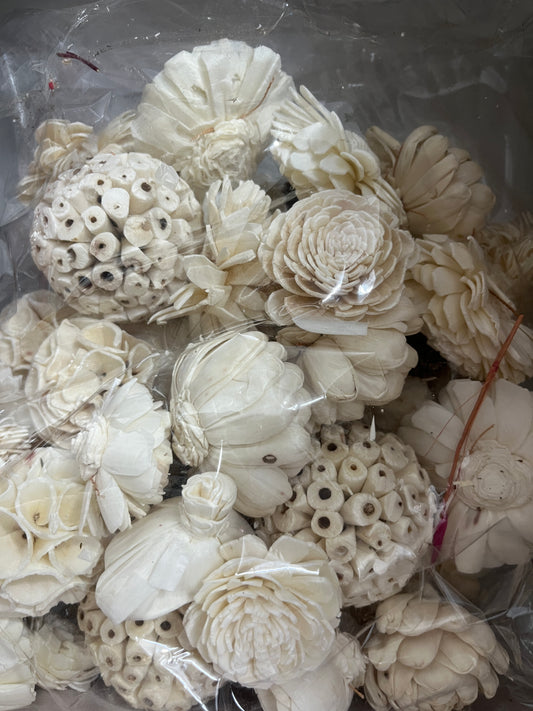 Sola wood random white flower