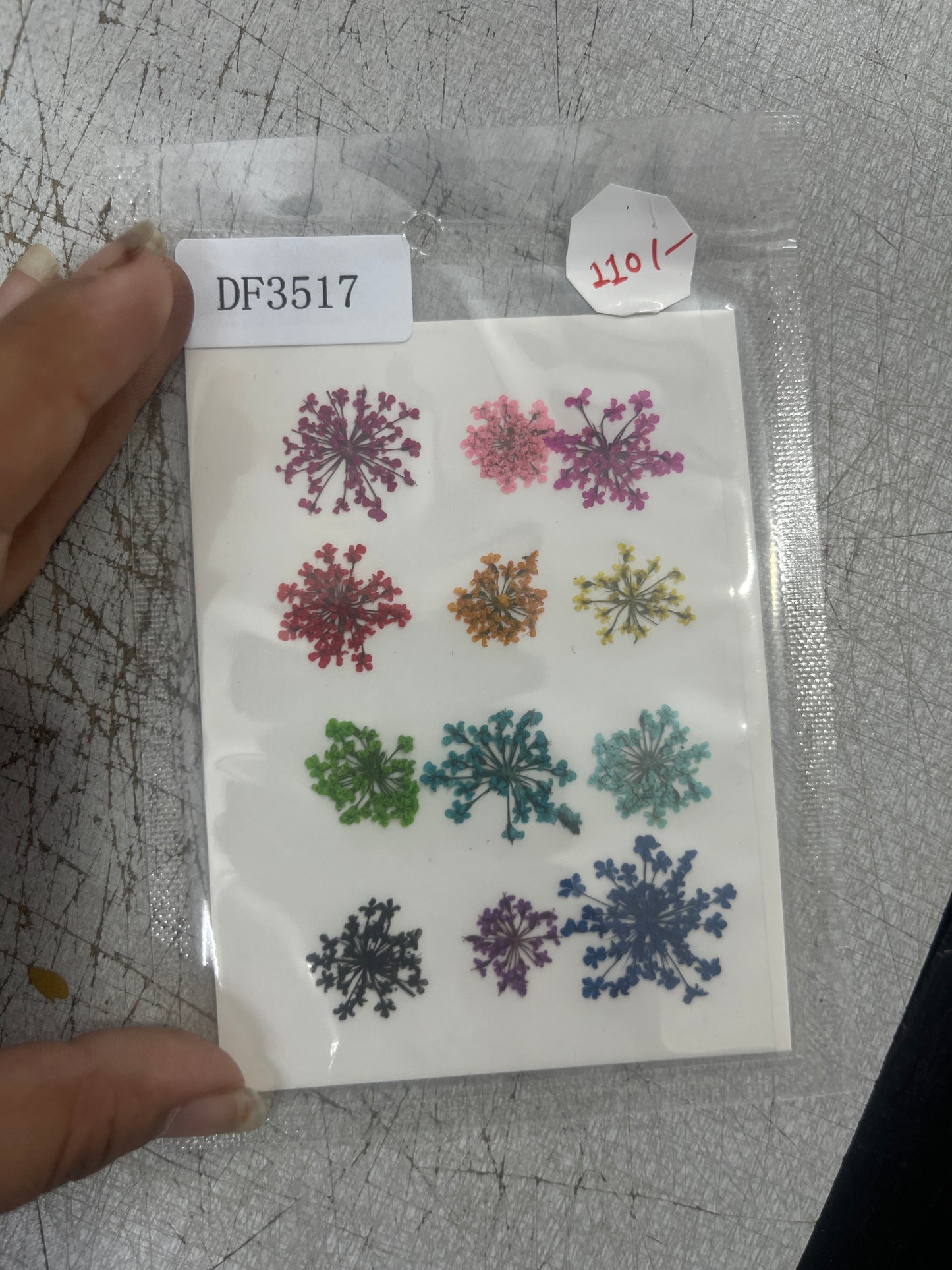 Multy Pressed Dry Flower (12 in one)