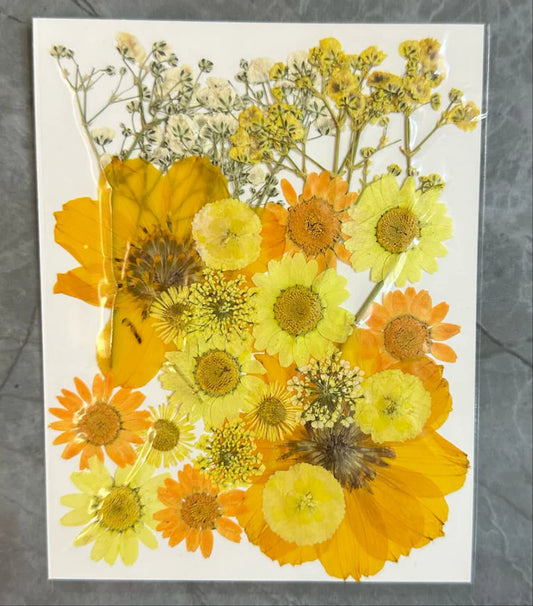 Dry flower box yellow
