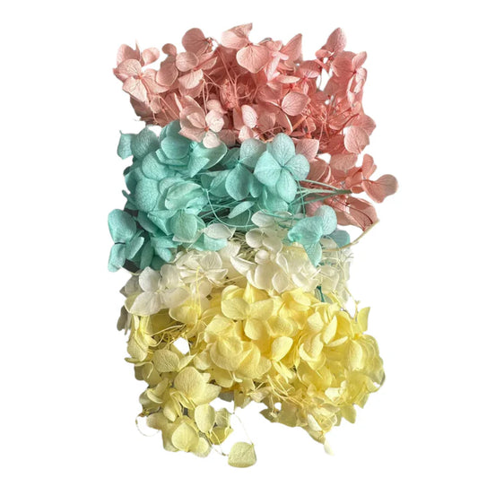 Pestal Magenta Hydrangea flower box