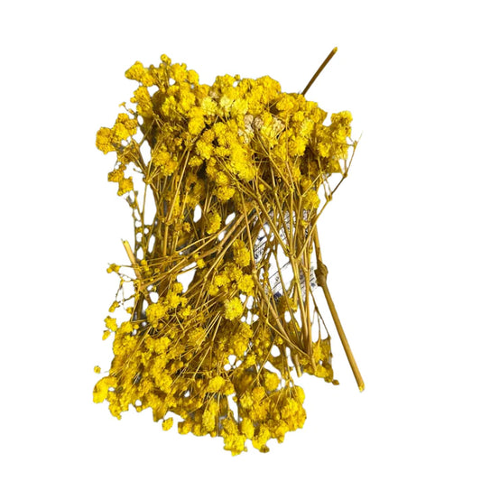Gypsy flower box teal yellow