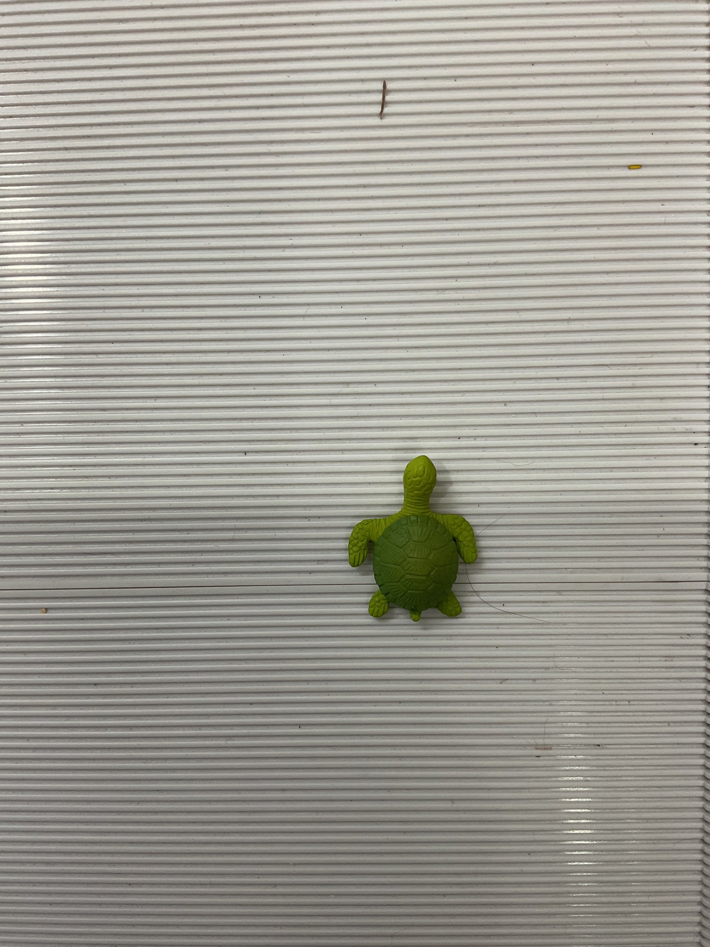 Turtle miniature