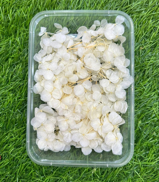 Hydrangea flower box