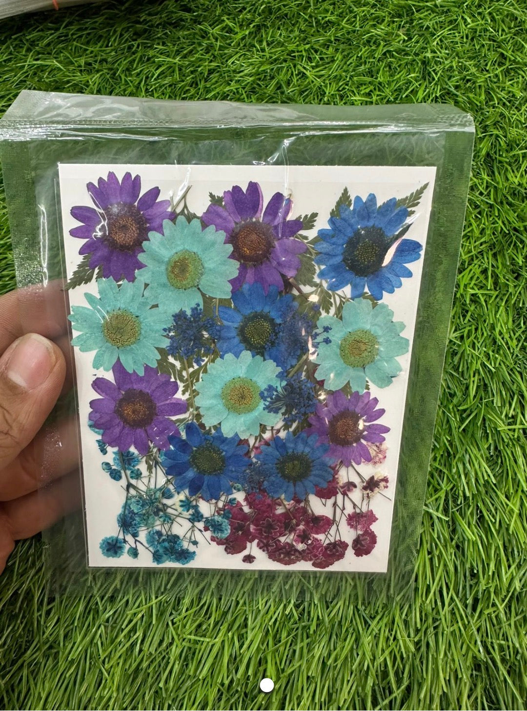 Pressed flower