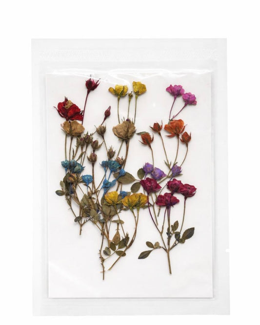 Pressed flower