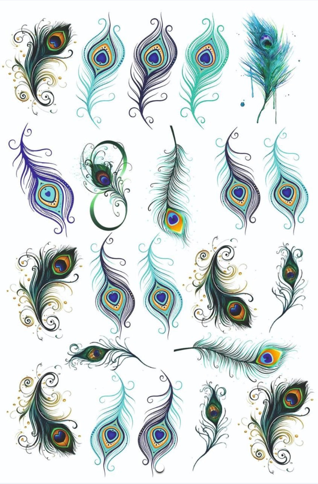 A4 Insert sheet