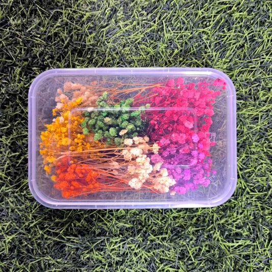 Mix Color B Breath Dry Flower (F0125)