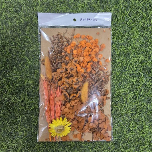 Mix Dry Flower Card Paking