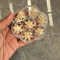 Star fish box