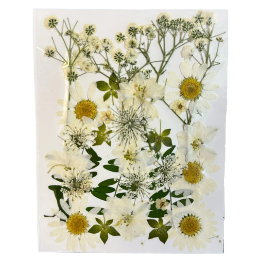 Dry flower pack A50