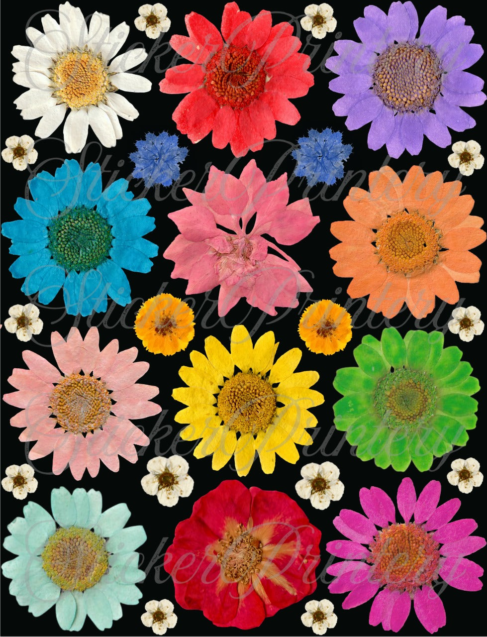 Flower sheet (pill of sticker)