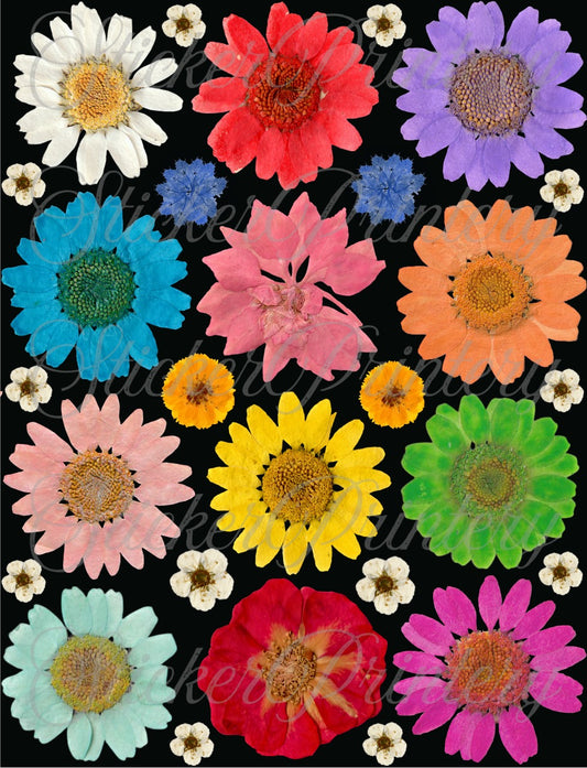 Flower sheet (pill of sticker)