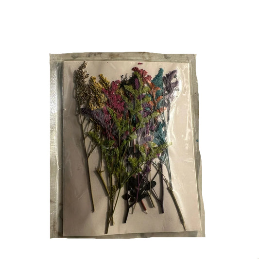 Pressed flower sheet