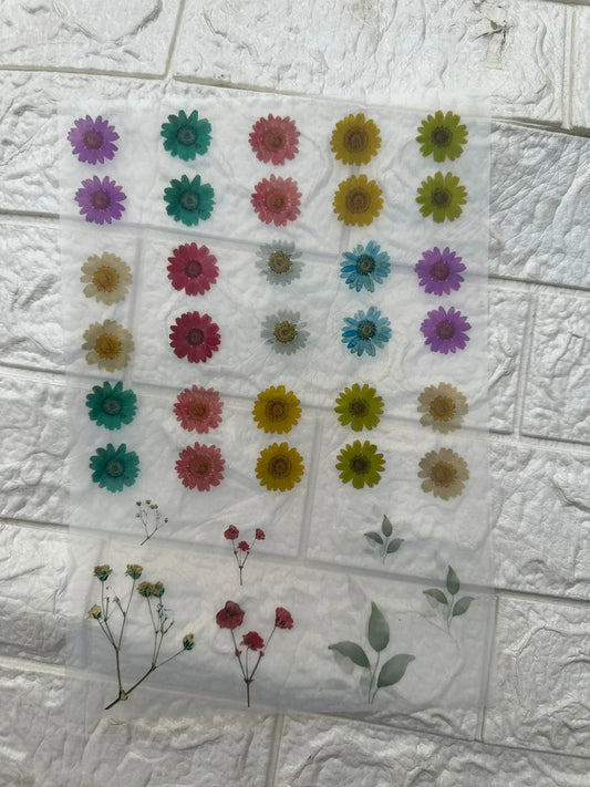 Mix daisy flower insert sheet