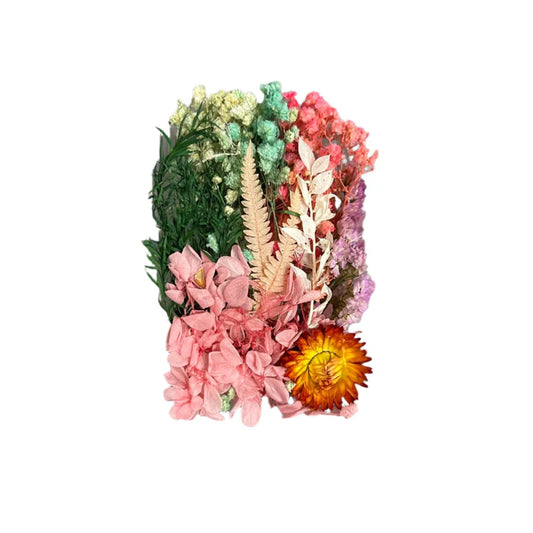 Dry flower box multi pastel