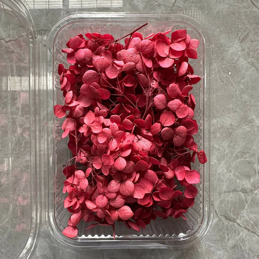 Pink Magenta Hydrangea flower box