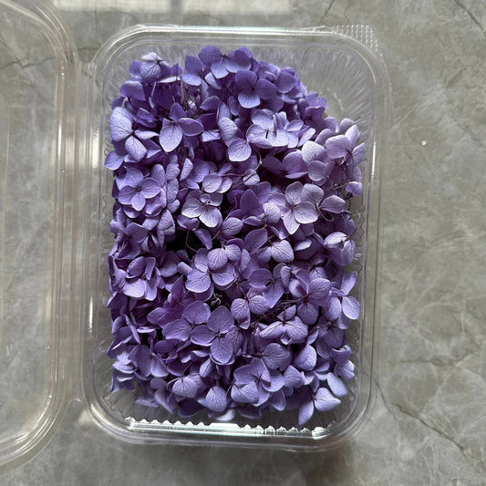 Bluish purple Hydrangea flower box